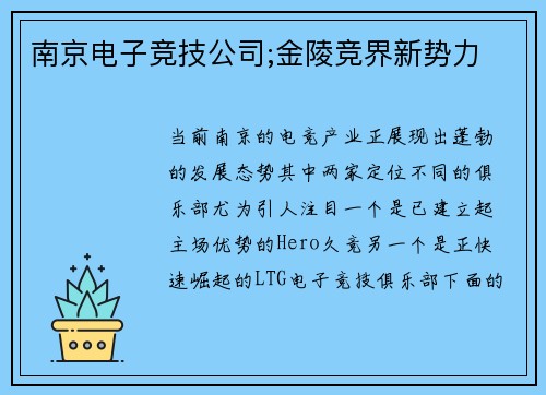南京电子竞技公司;金陵竞界新势力