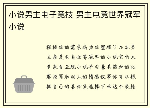 小说男主电子竞技 男主电竞世界冠军小说